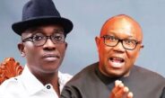 Probe Peter Obi Now – LP