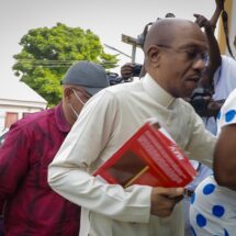 Emefiele: From Grace To Grass