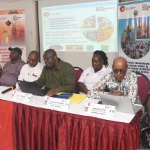 Failed Privatization Programmes Haunt Africa
