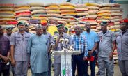 Again, Customs Pound S/west Smugglers
