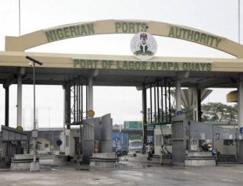 NPA Lays Fertile Ground For IMO Seat