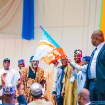 APC Primaries Signpost Rigging Plot