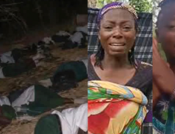 As Tinubu Implores Terrorists:  Empty Threats And Classrooms Trail Insecurity