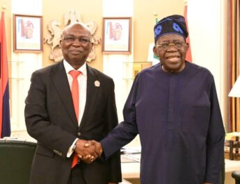 NIMASA-DG Briefs Tinubu On Maritime Affairs