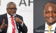 Dangote Refinery Noah’s Ark IPO