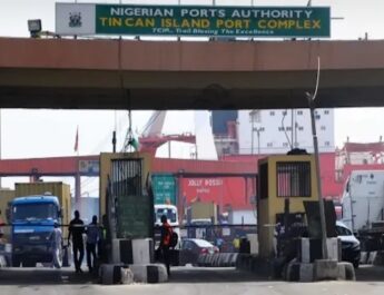 $7B Ogun Port Deal:  How Govt Conspiracy Cripples Eastern Ports