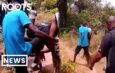 In Imo, Kidnappers Go Gaga